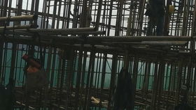 建筑土建安裝工程現場施工工序 竹棚架搭設